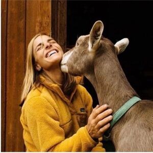 Patagonia Medium Re-Tool Snap-T Fleece Pullover Nectar Yellow Prairie Gold